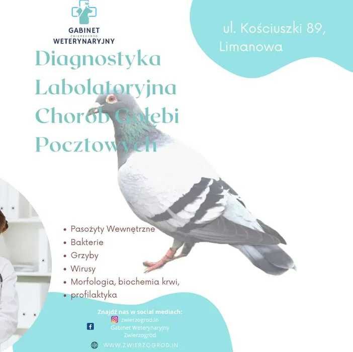 VERSELE-LAGA Gerry Plus – Karma lotowa 20 kg + 2kg gratis