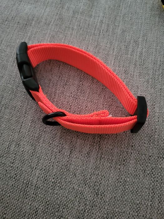 Peitoral + Coleira para cão 10€