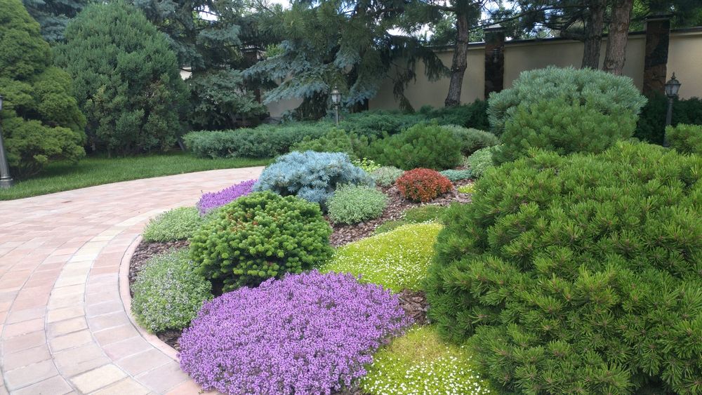 Ландшафт, благоустрій та и озеленення Вашої ділянки,зробимо красу 2024