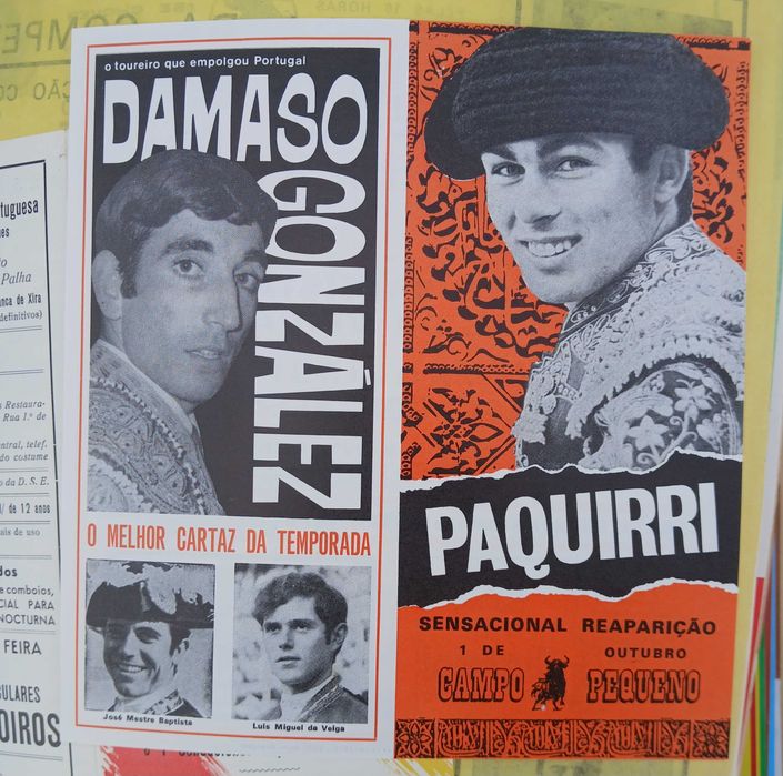 Programas de toiros