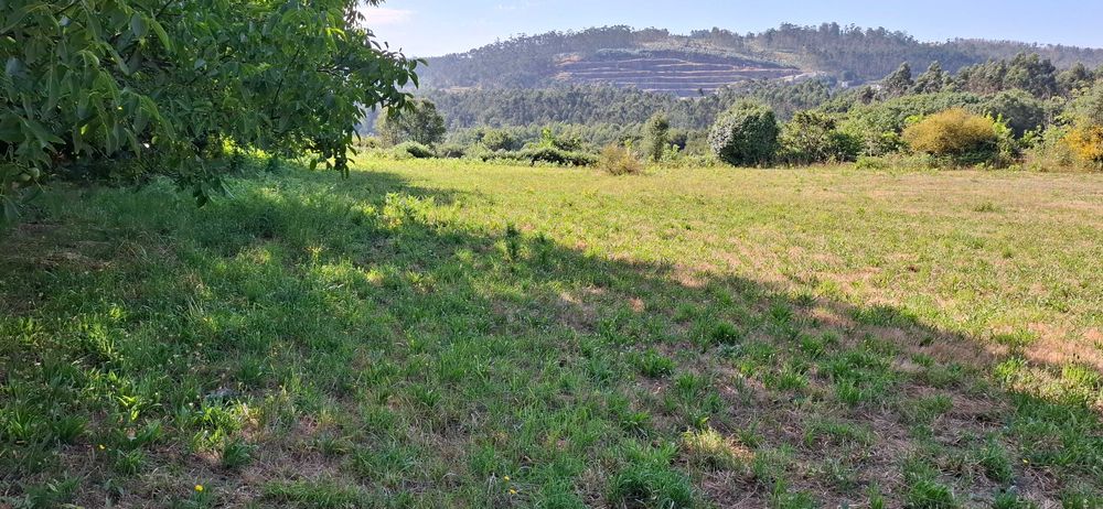 Terreno URBANO para CONSTRUÇÃO em Monte Córdova, Santo Tirso