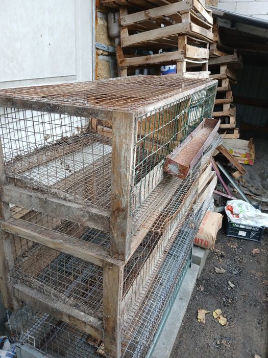 Клітки для перепелів