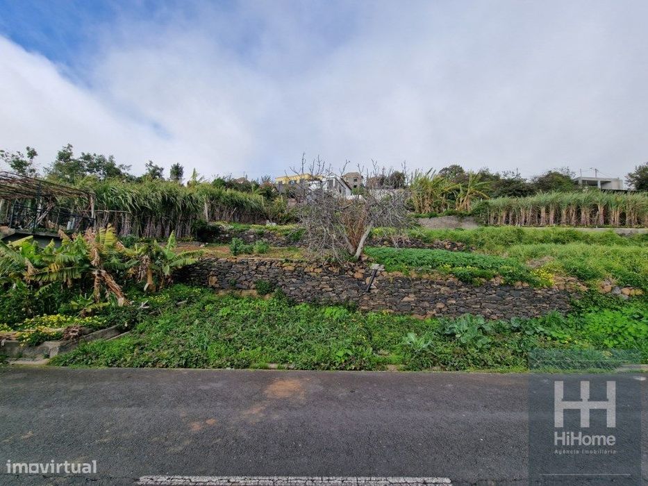 Terreno Rústico no Sítio da Pedra Mole, Ribeira Brava (Madeira)
