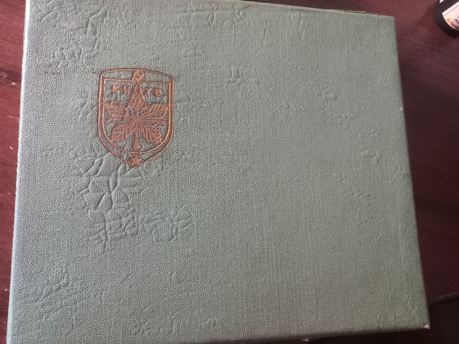 Ложка чайна  мнц