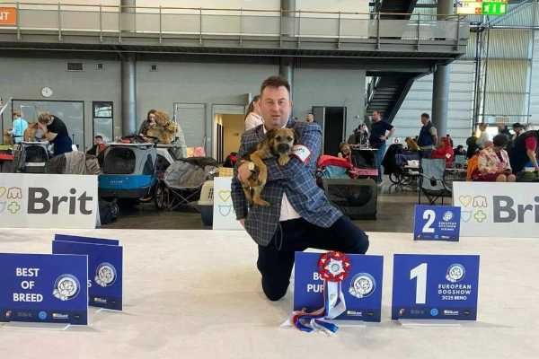 Border terrier FCI Szczeniak (wybitni rodzice) rezerwacja 2026