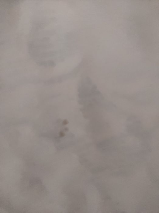 Майка з мереживом фірмова New Look