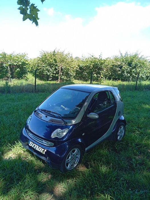 Smart CDI panoramico