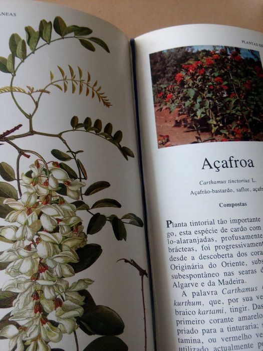 Selecções do Reader´s Digest