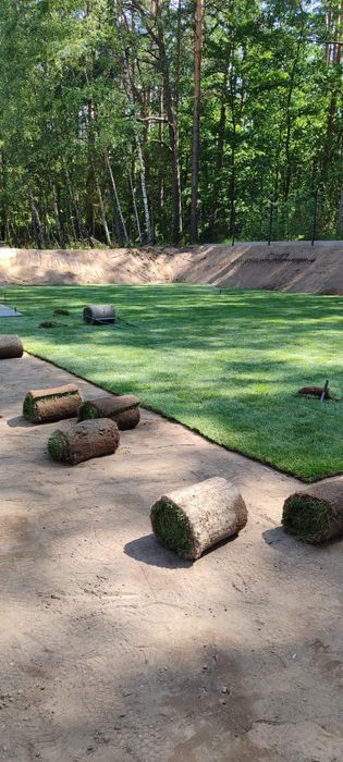 Trawa z trawnik z rolki sprzedaż transport montaż wysyłki kurier