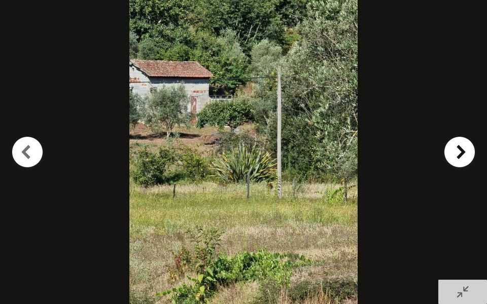 TERRENO 5.500m2 Parada de Gonta - Tondela