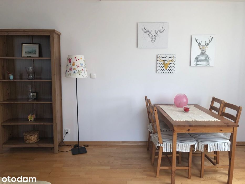 Niebanalne, 3 pokojowe mieszkanie po remoncie - Widok 3