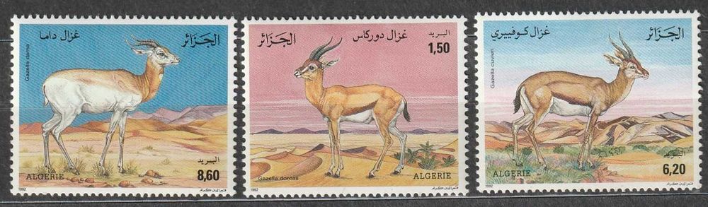 znaczki Algieria - 1992 - fauna antylopy  -  czyste **