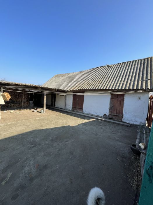 Продаж будинку в с. Яблунівка