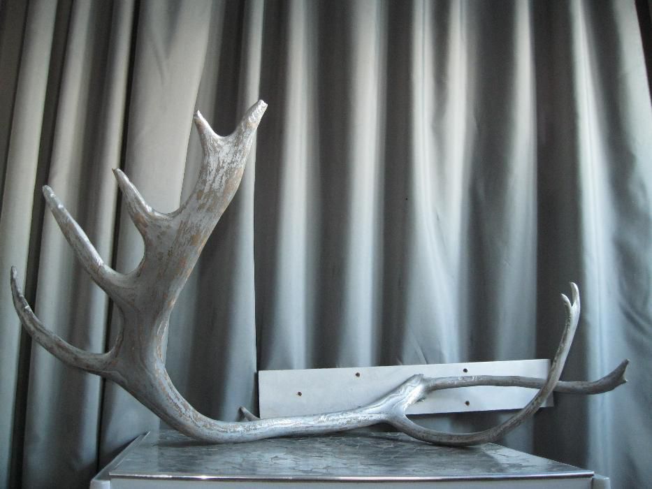 Олений рог дизайнерская обработка рога оленьи декор арт-объект