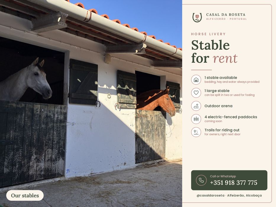 Penso de cavalos / Horse livery – box disponível – Alfeizerão