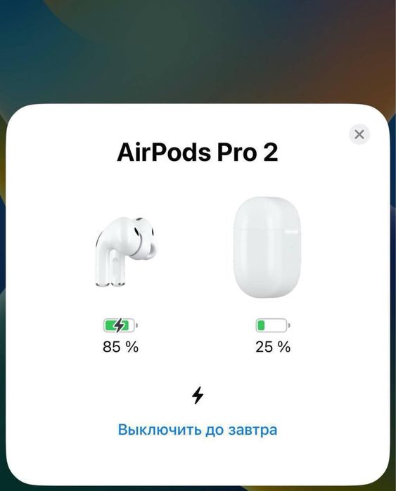 Навушники  АирПодс Pro 2 Luxary Lux  2nd Generation (2025) + чохол