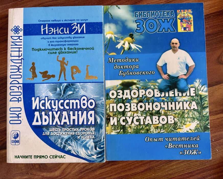 Книги соня Чокет Душа, ее уроки и цель Свами Дхармананда Сарасвати