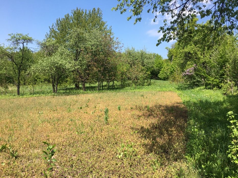 Продається райський куточок під дачу або забудову