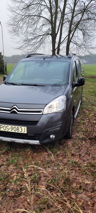 Citroen berlingo
