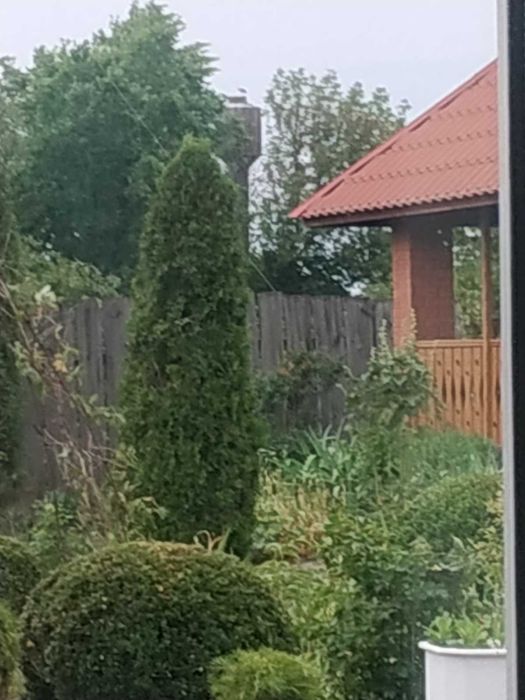 Продам будинок в смт Гути Богодухівського району