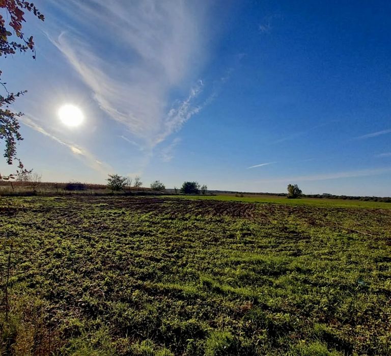 Продам дом в Шульговке в ЭКО зоне!