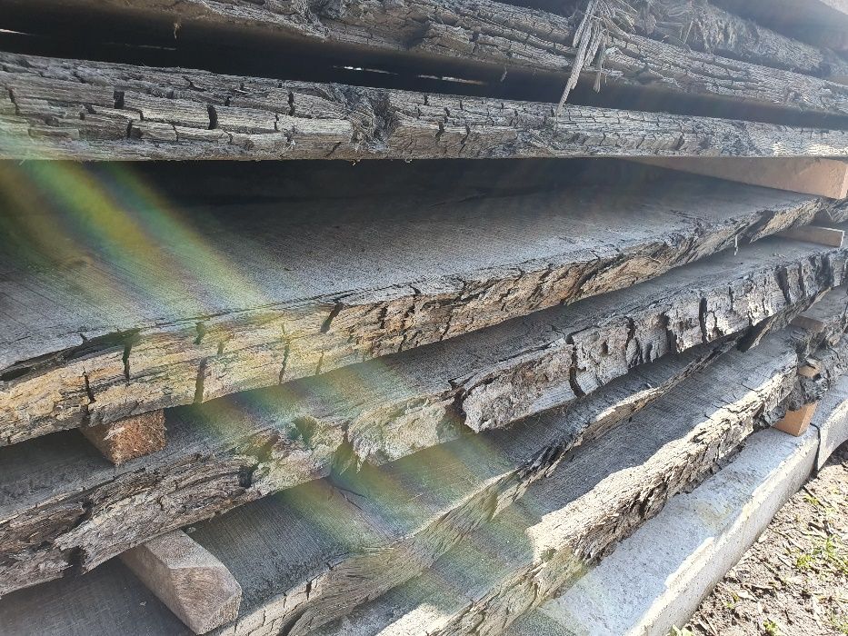 czarny dąb, dąb czarny, monolity czarny dąb, brusy dębu czarnego