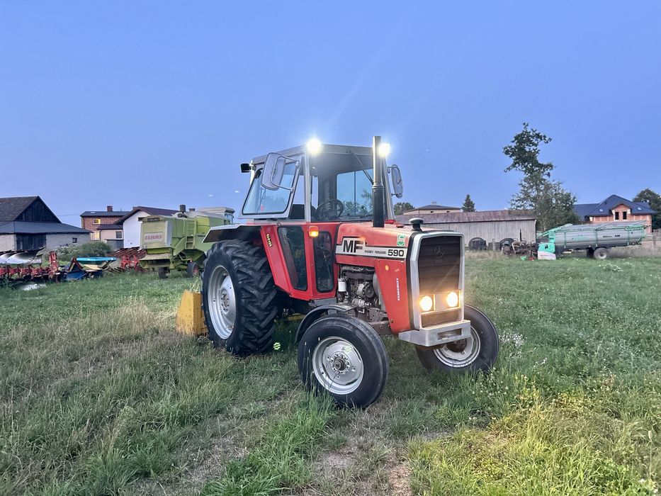 Ciągnik Massey Ferguson 590 2WD 75KM Bardzo dobry stan! Zarejestrowany!