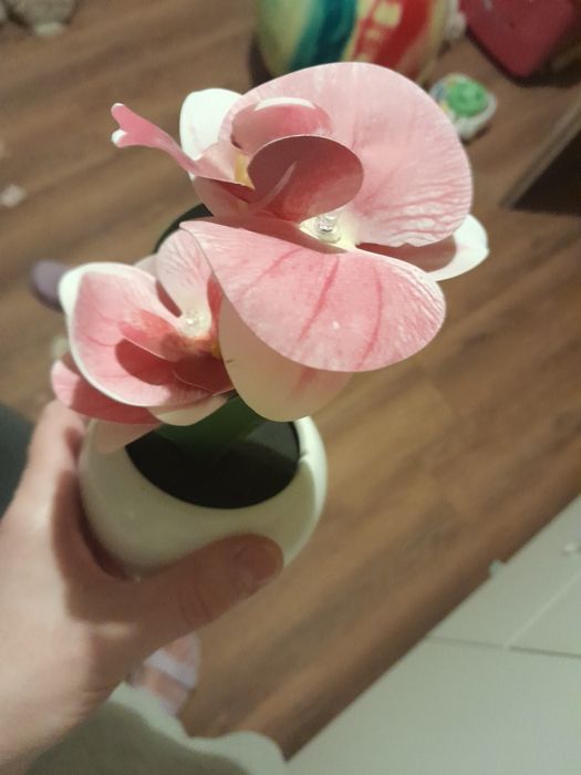 Sprzedam roślinę sztuczną