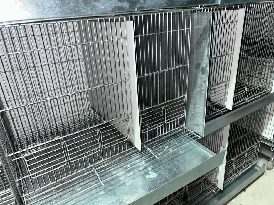 Gaiolas viveiros para canários 1m