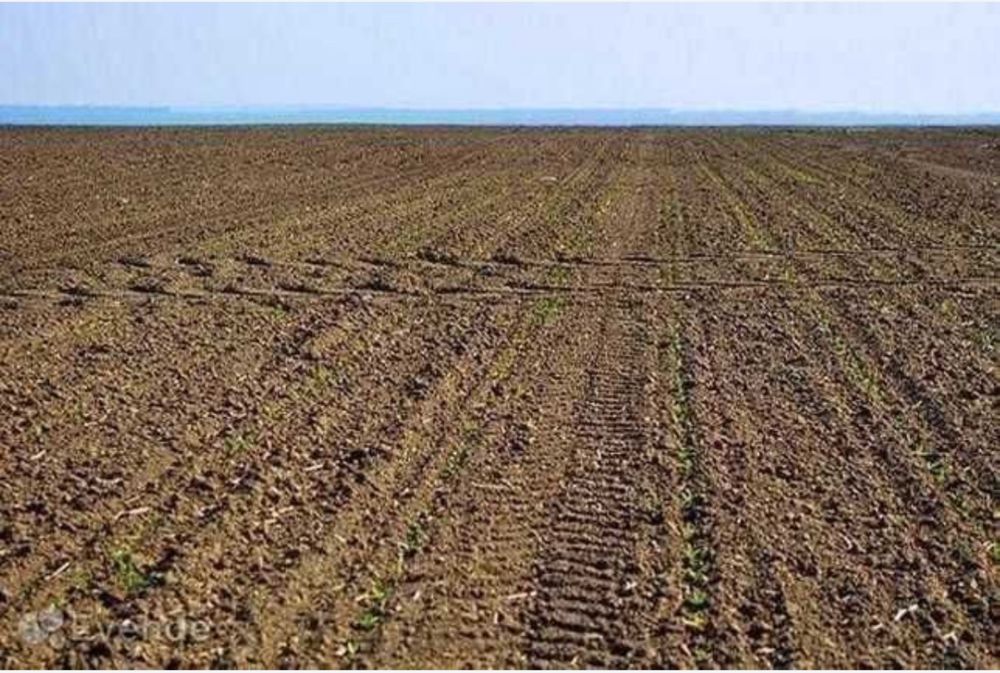 Балта. Продам земельный участок пай 4.29га