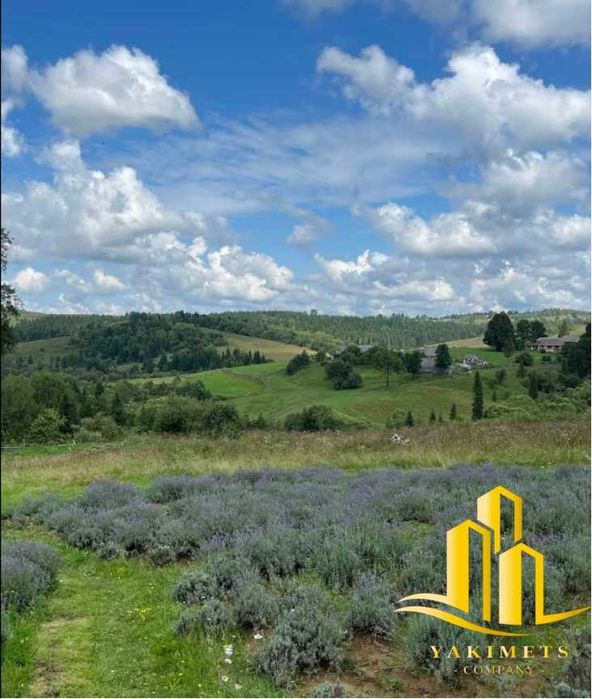 Продаж земельної ділянки 17.81 сот., Буковинка, Львівська обл.