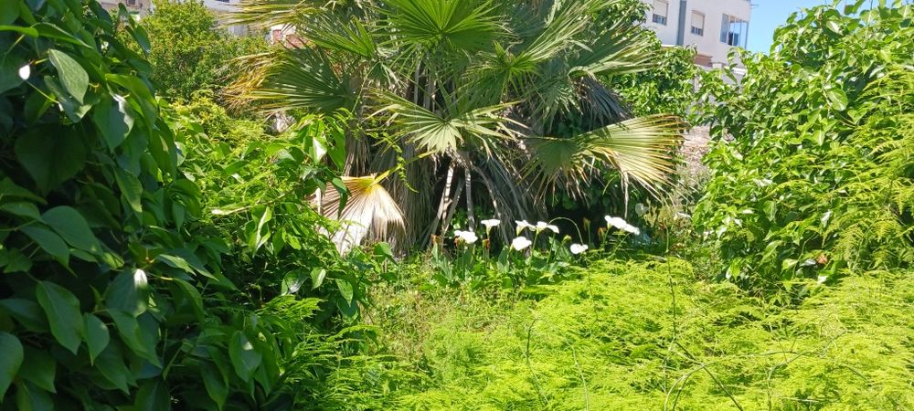 Moradia e terreno para construção