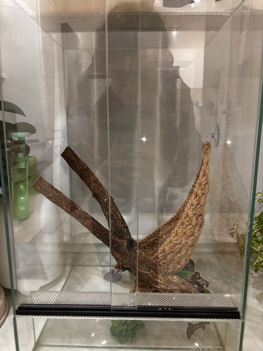 Terarium fla gekona