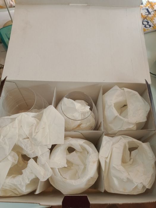 Conjunto de Taça Maxima