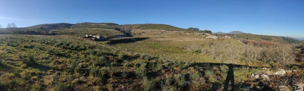 Quinta agrícola para investimento - Baião