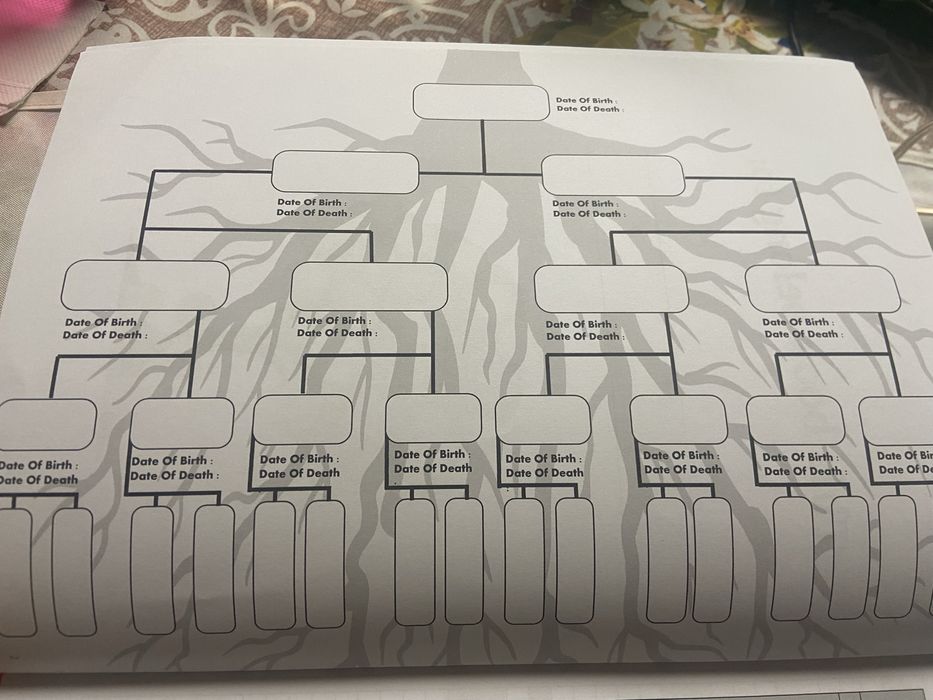 Caderno Our Family Tree