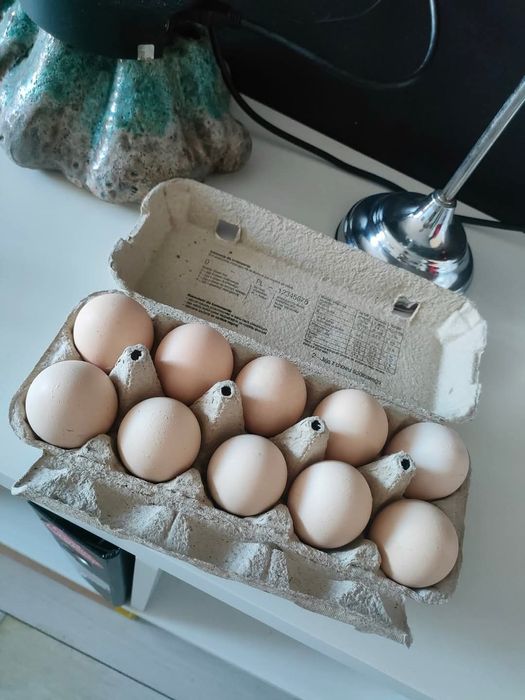 jajka wiejskie 30 szt