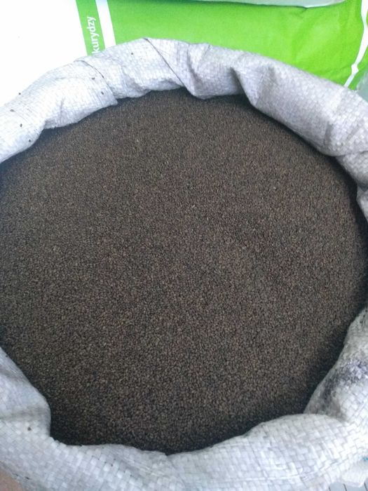 Насіння Люцерни,Конюшини,Райграсу.Семена Клевера