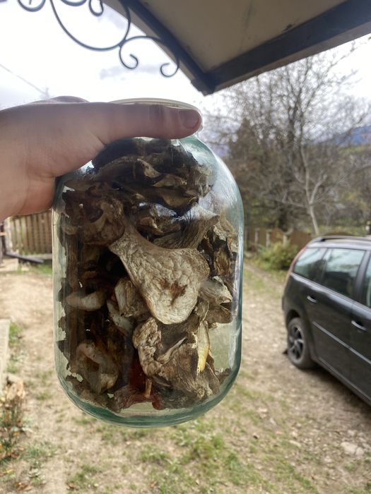 Білий гриб сушений 2025