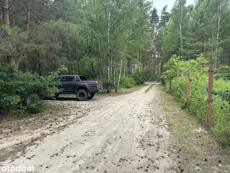Działka budowlana w lesie