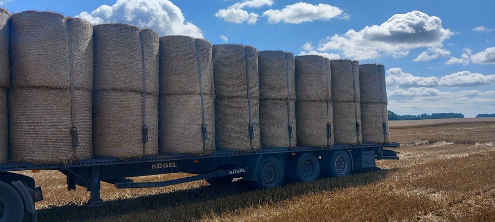 Słoma Słoma 130 cm