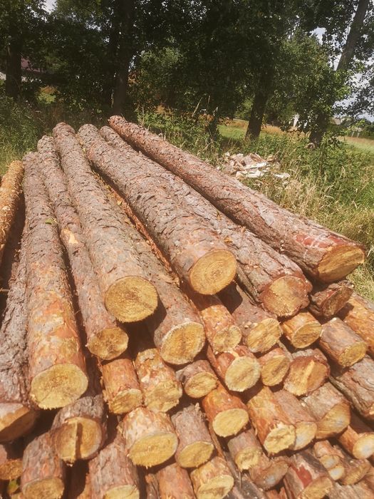 Ogrodzenie budowlane, tymczasowe, lesne