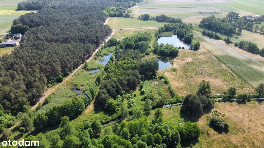 Działki Rekreacyjne Blisko Term Uniejów Zaborów | Gmina Uniejów - Widok 5