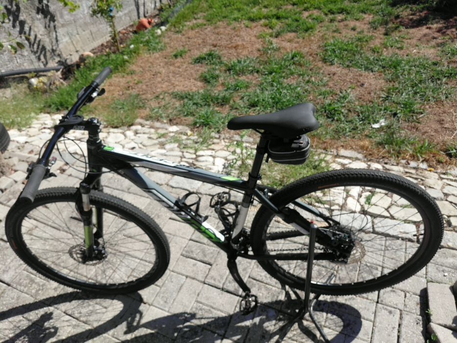 Coluer Ascent  29"