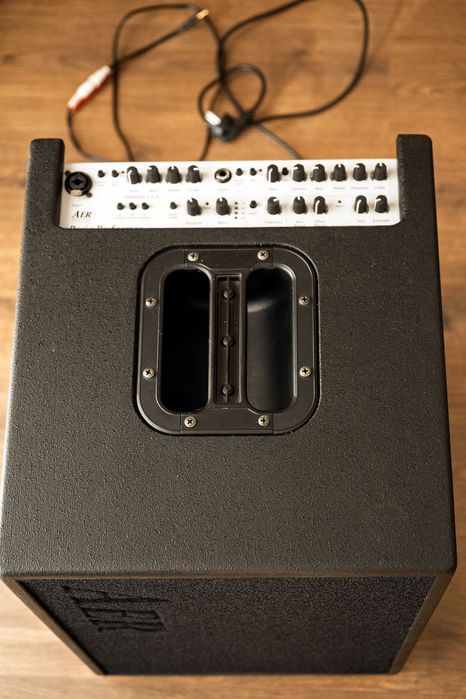 AER Basic Performer amplificador para instrumentos acústicos