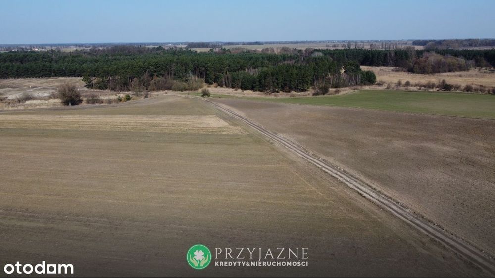 Piękna działka na sprzedaż - 1,5 km od Pobiedzisk - działka z WZ