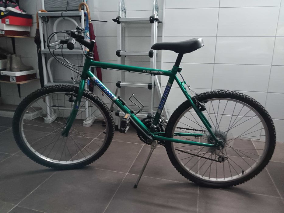 Bicicleta cor verde