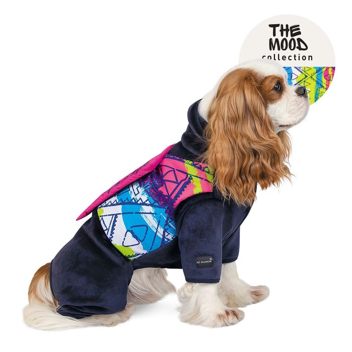 Одежда для собак