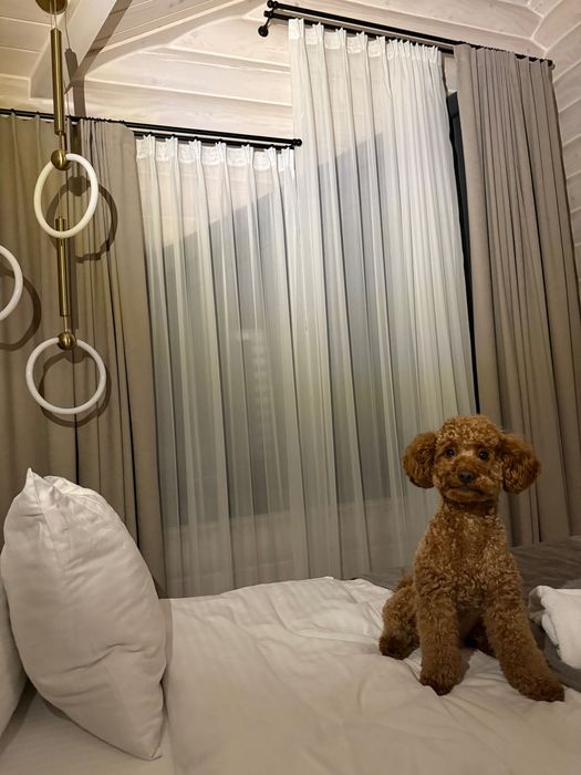 Вʼязка хлопчик той пудель