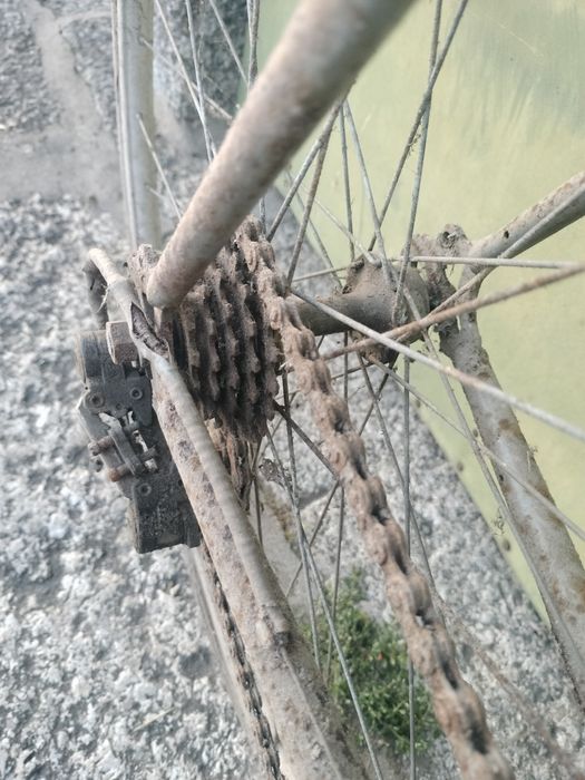 Esmaltina para restauro